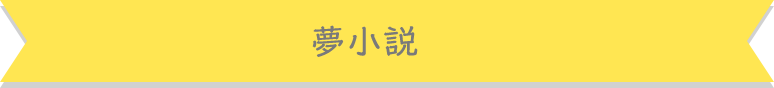 夢小説