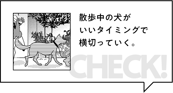 みどころ：散歩中の犬がいいタイミングで横切っていく。
