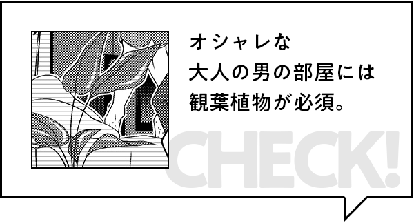 オシャレな大人の男の部屋には観葉植物が必須。